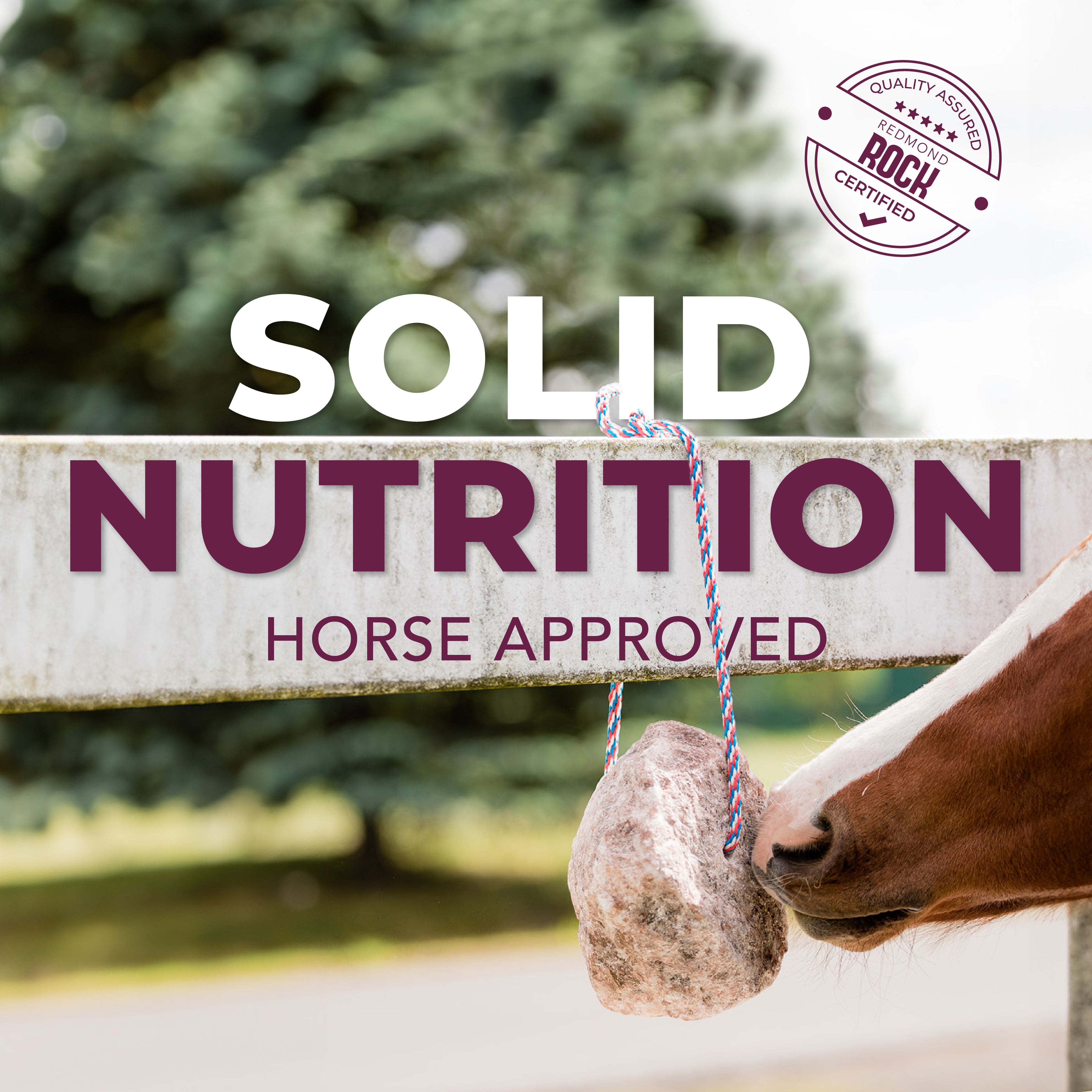 Redmond Rock® - Mined Horse Salt Lick