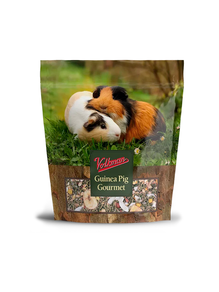 Volkman Guinea Pig Gourmet 4#