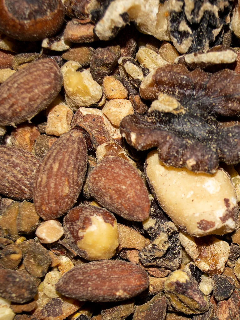 Volkman Squirrel Nut Delight 15#