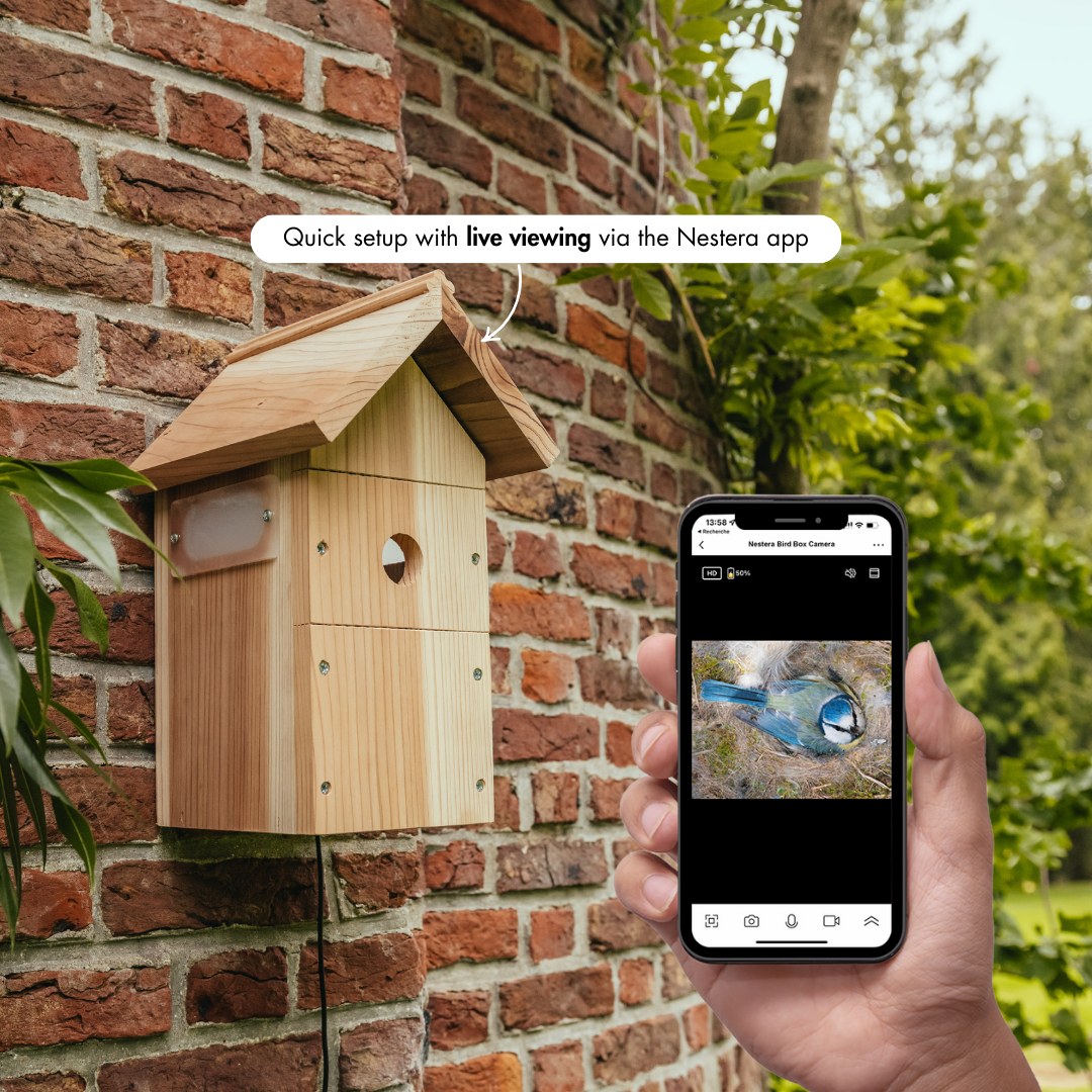 WiFi Bird House Camera System
