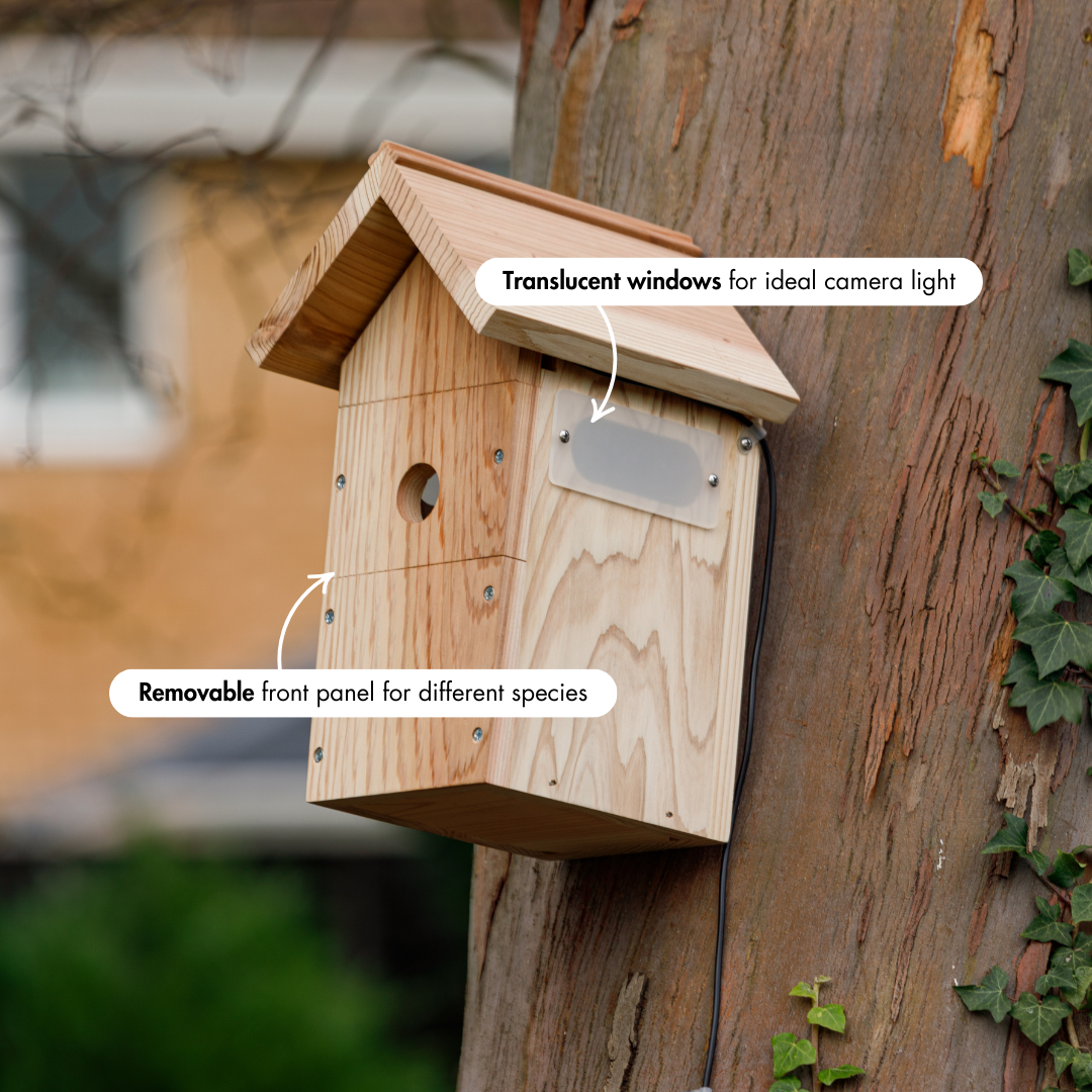 WiFi Bird House Camera System