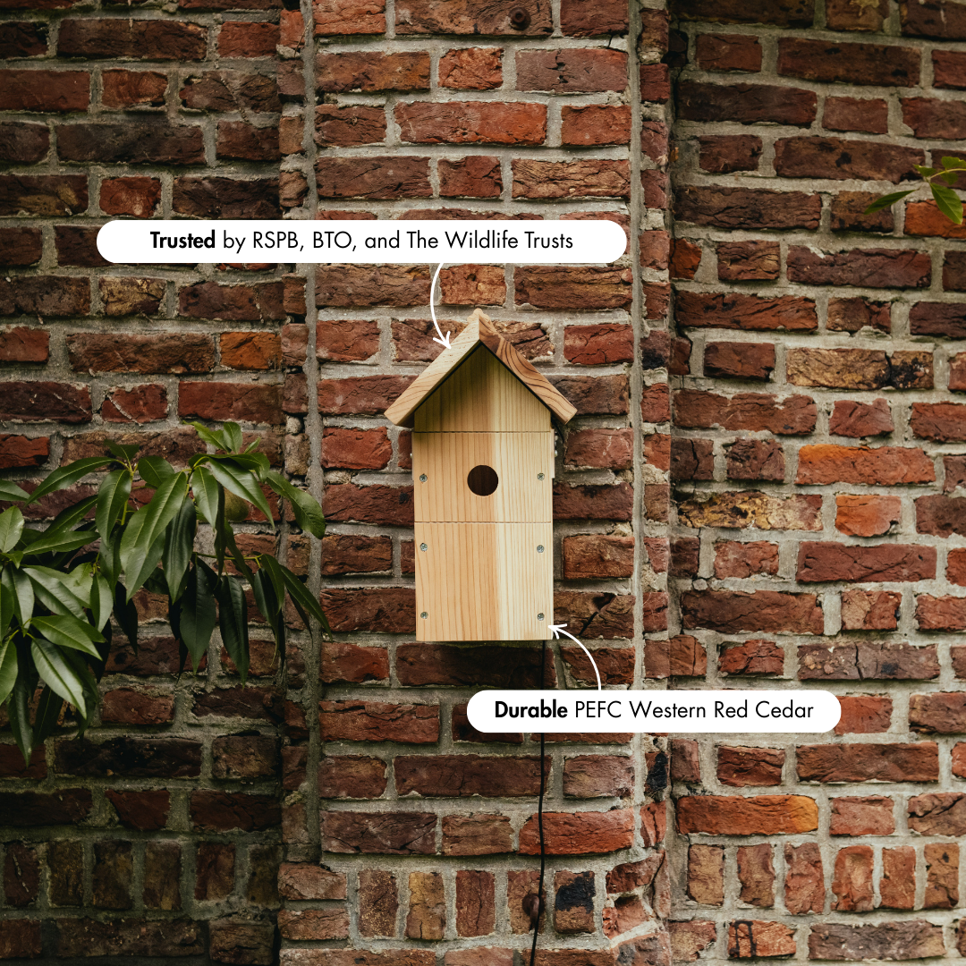 WiFi Bird House Camera System