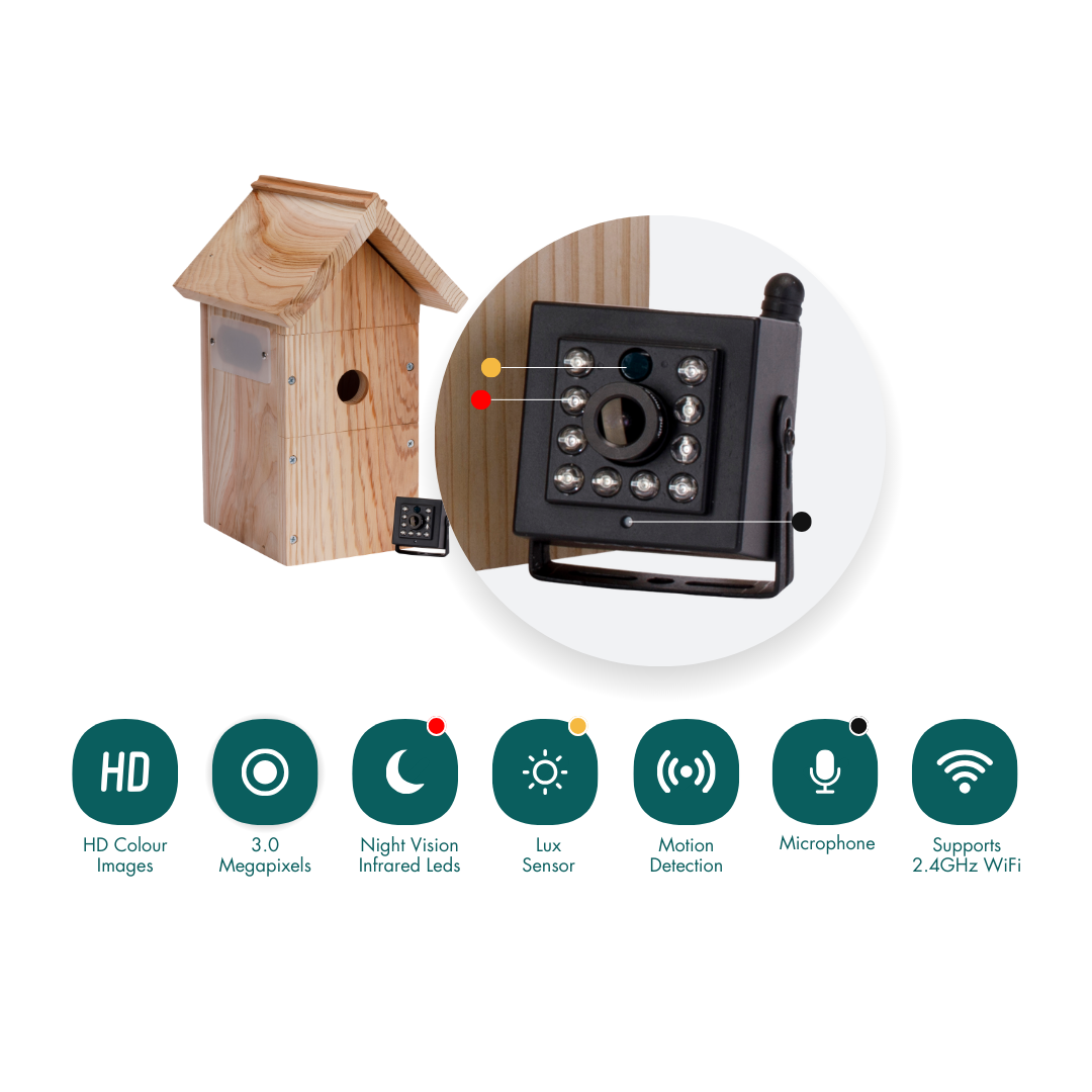 WiFi Bird House Camera System