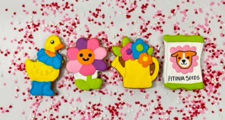 Colorburst Spring Bloom Collection