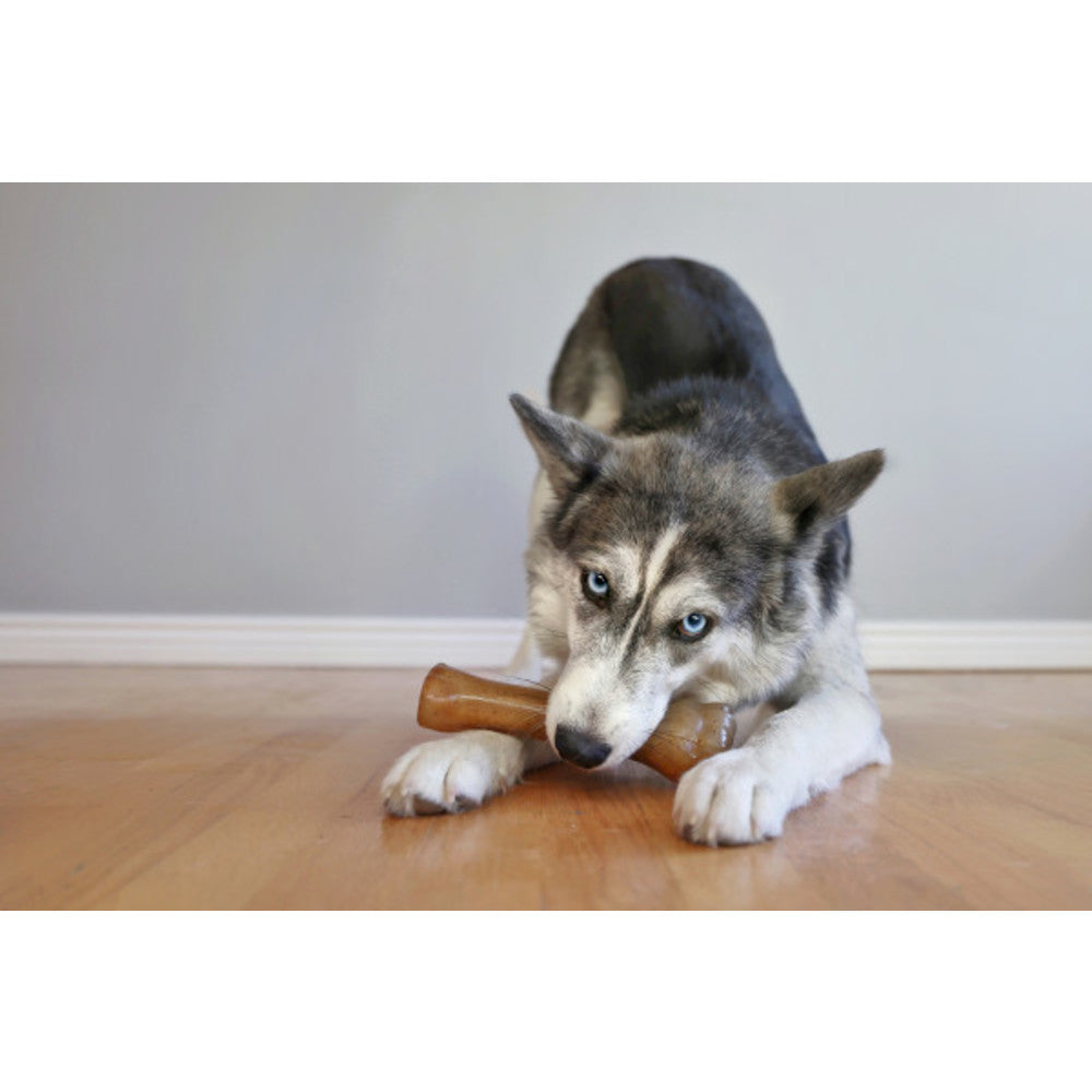 Nylabone Puppy Chew Bone Chicken Flavored Souper