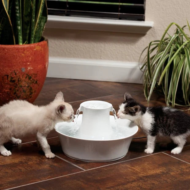PetSafe Drinkwell Avalon Ceramic Dog & Cat Water Fountain 70oz
