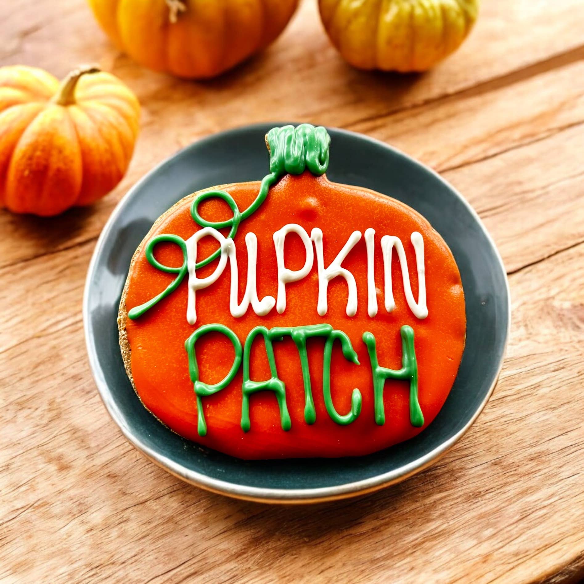PUPkin Patch Pumpkin Dog Treat