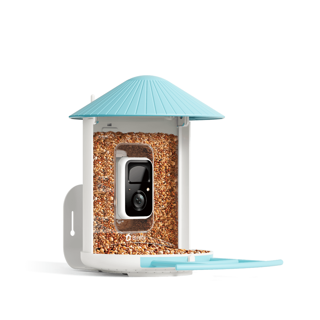 Birdfy Feeder - AI-Powered Smart Bird Feeder with Camera