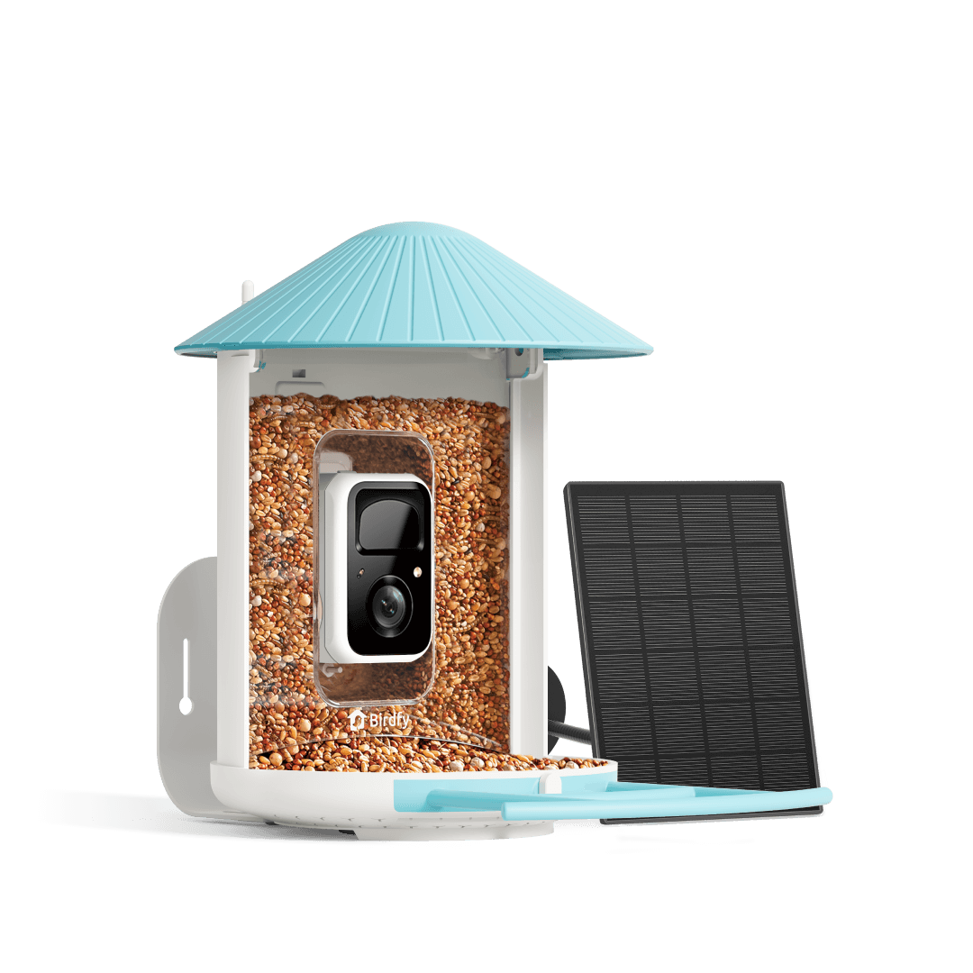 Birdfy Feeder with Solar Panel - Solar-Powered Smart Bird Feeder with Camera