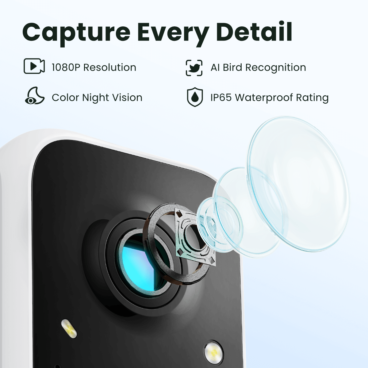 Birdfy Feeder with Solar Panel - Solar-Powered Smart Bird Feeder with Camera