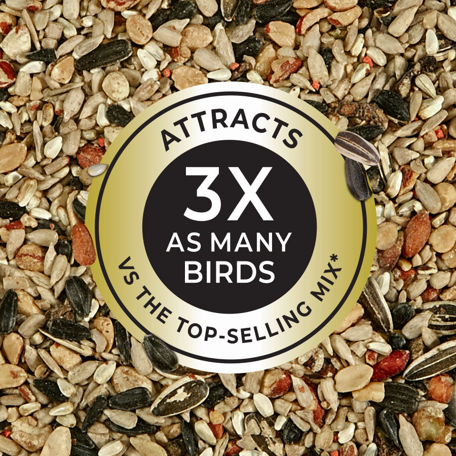 Kaytee Nut & Fruit Blend, Wild Bird Food 5LB