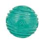 Li'l Pals Teal Ball