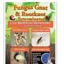 NEMATODESFUNGUSGNAT