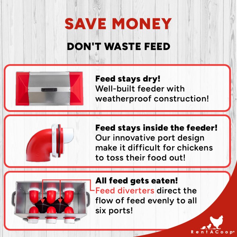 RentACoop Flock Feeder 65 6-Port Feeder