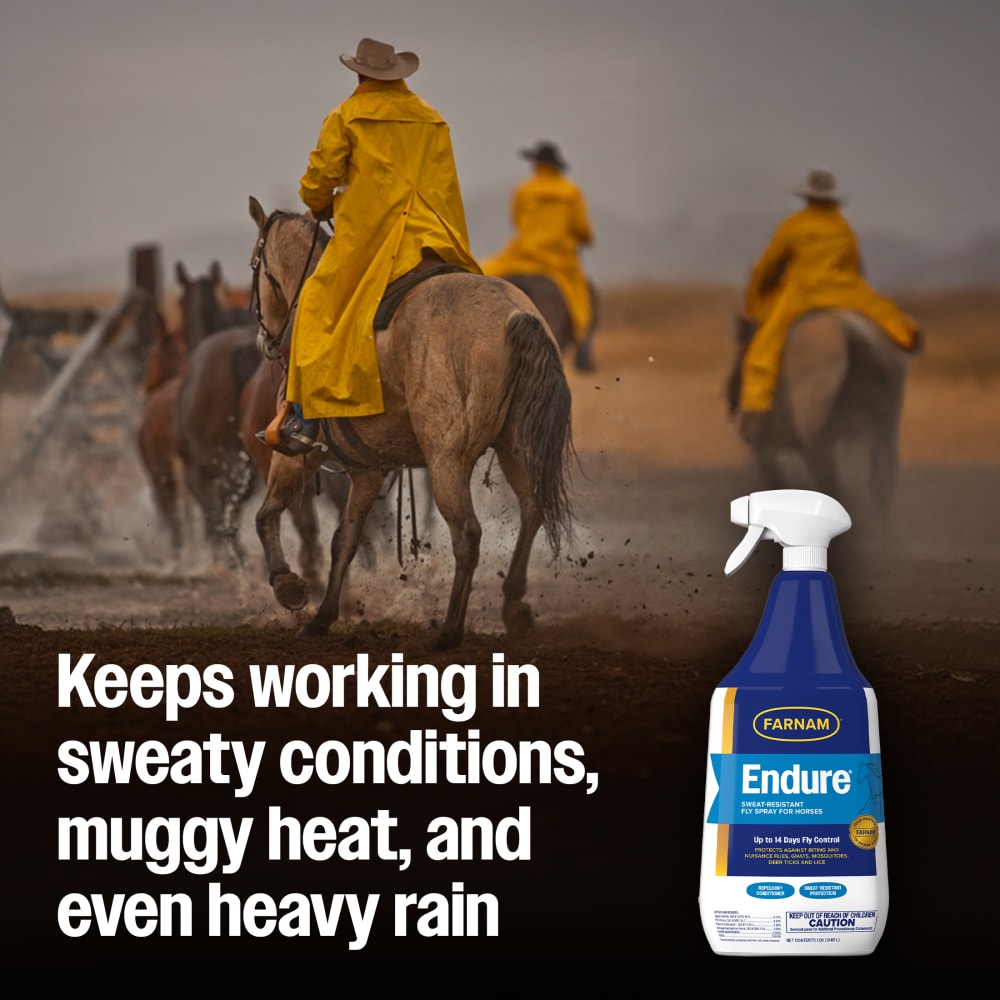 Farnam Endure Sweat-Resistant Fly Spray for Horses 32oz