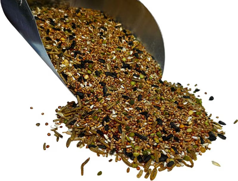NONGMO PARTY PACK 6way 10lb