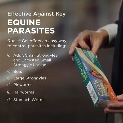 QUEST GEL 11.3 GM