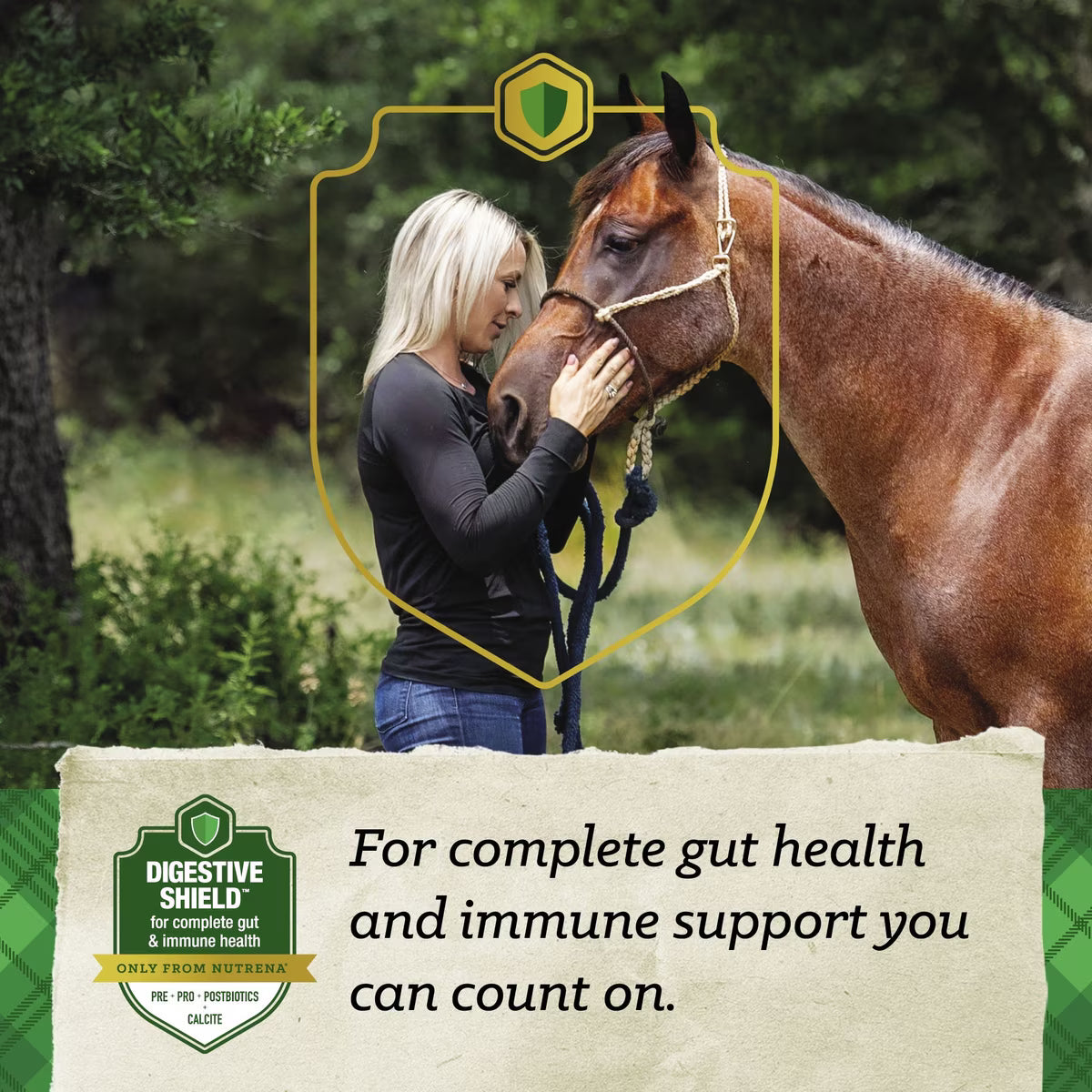 Nutrena SafeChoice Senior Molasses Free Horse Feed 50lb