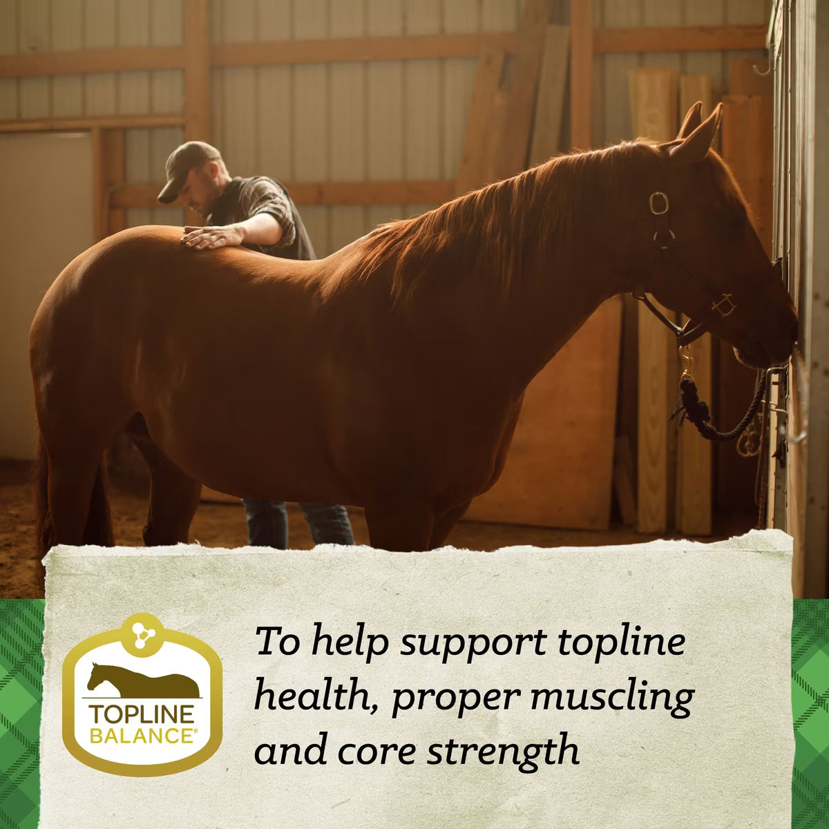 Nutrena SafeChoice Senior Molasses Free Horse Feed 50lb