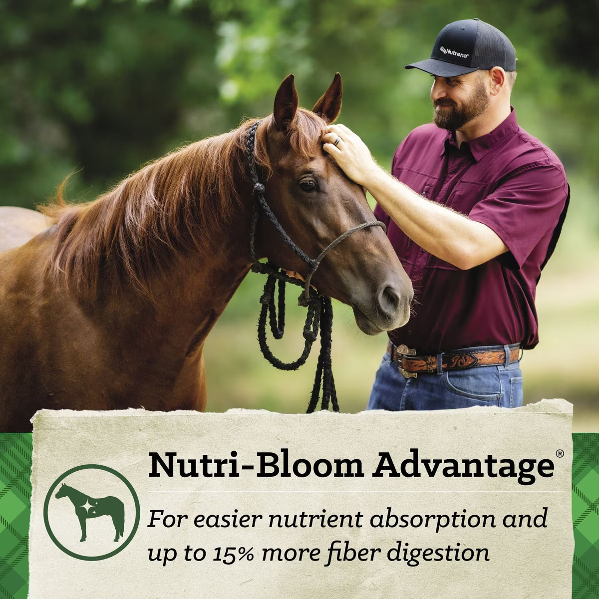 Nutrena SafeChoice Senior Molasses Free Horse Feed 50lb