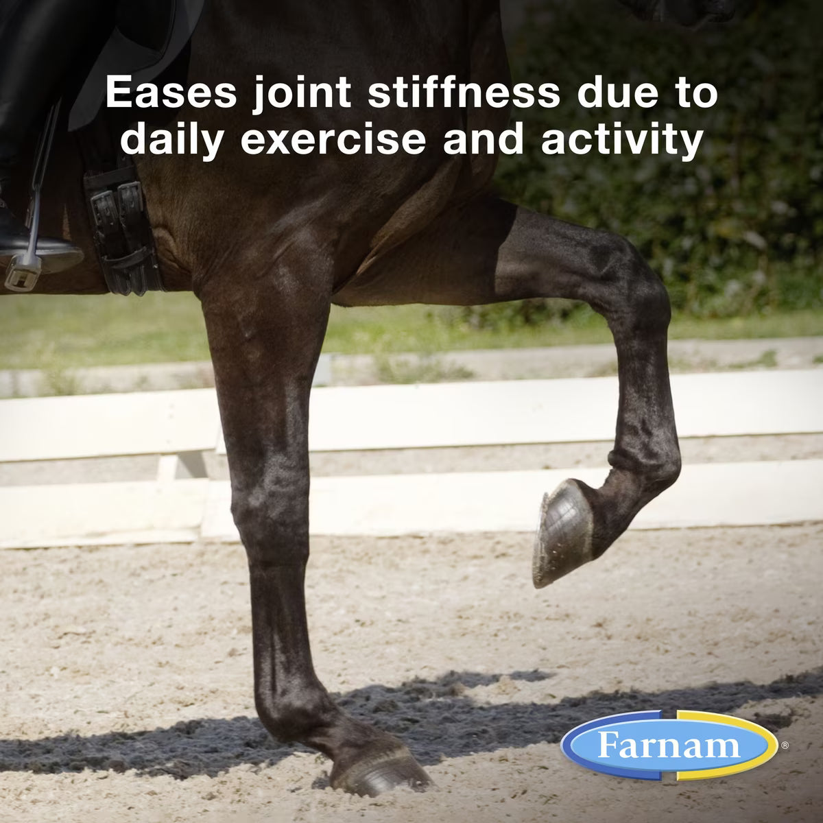 Farnam Next Level Joint Fluid Supplement for Horses & Dogs 32oz
