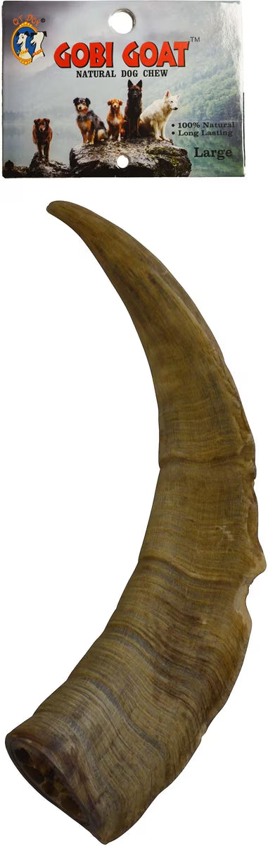GOBI GOAT HORN LG