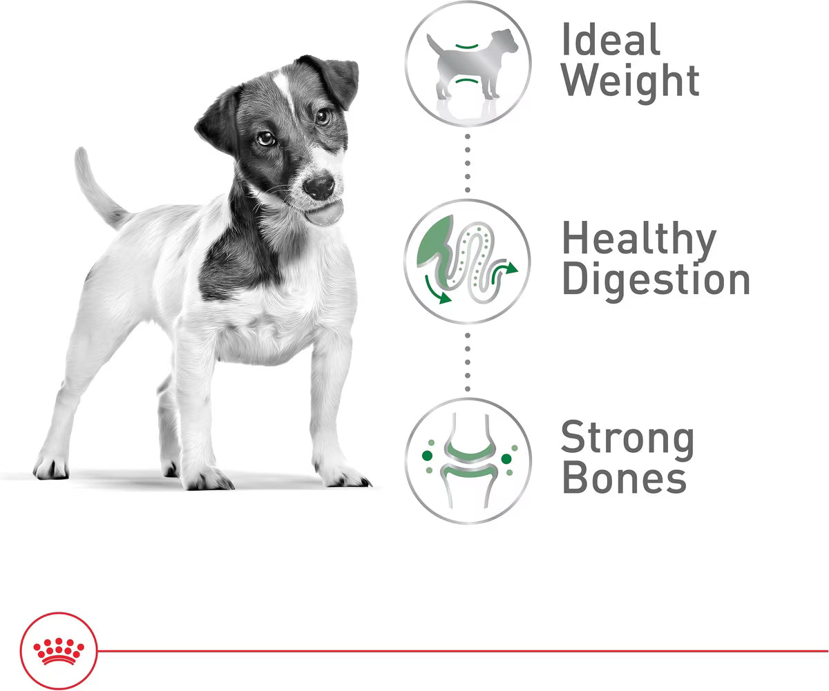 Royal Canin Small Breed Adult Dry Dog Food 4lb