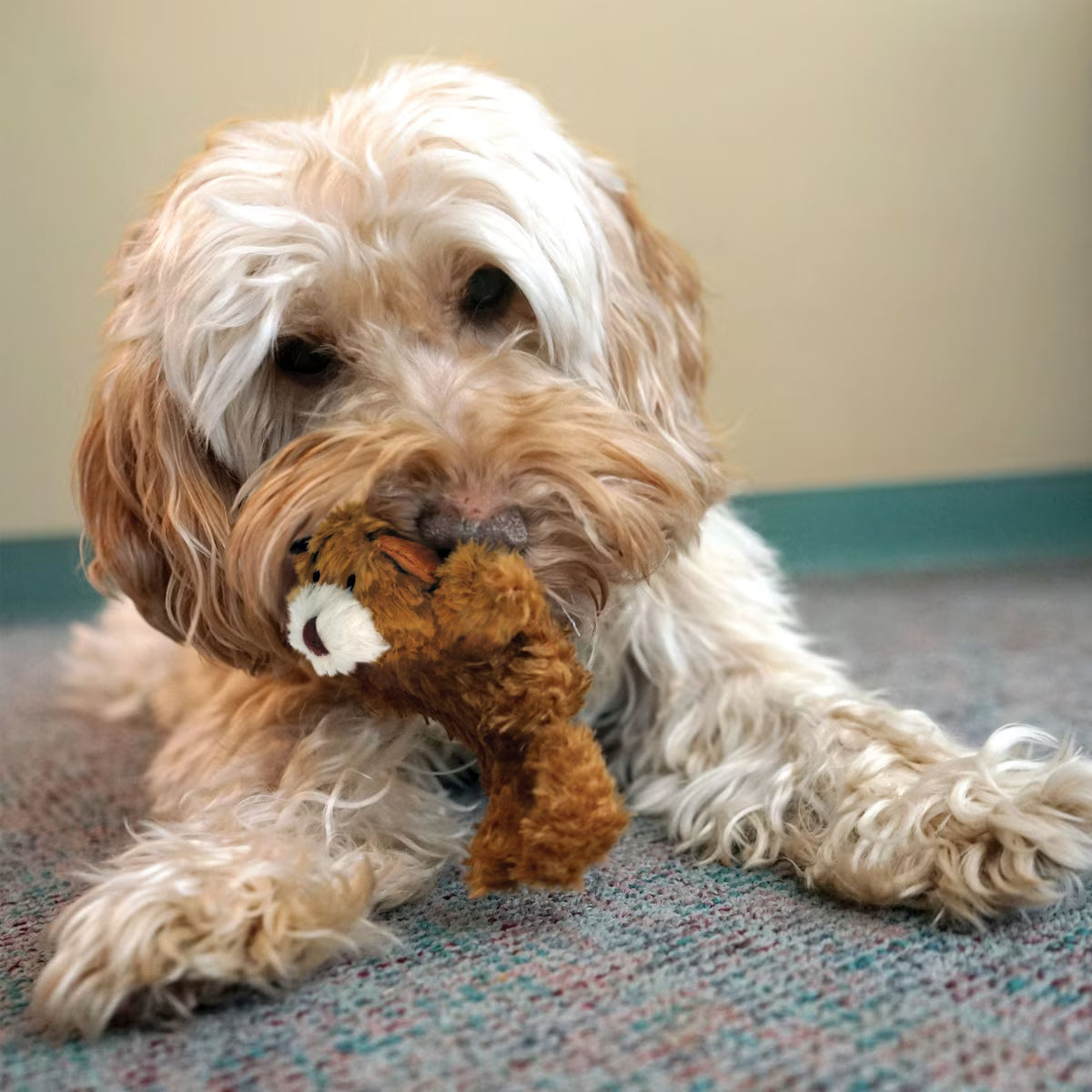 TEDDY BEAR XSML DOG TOY
