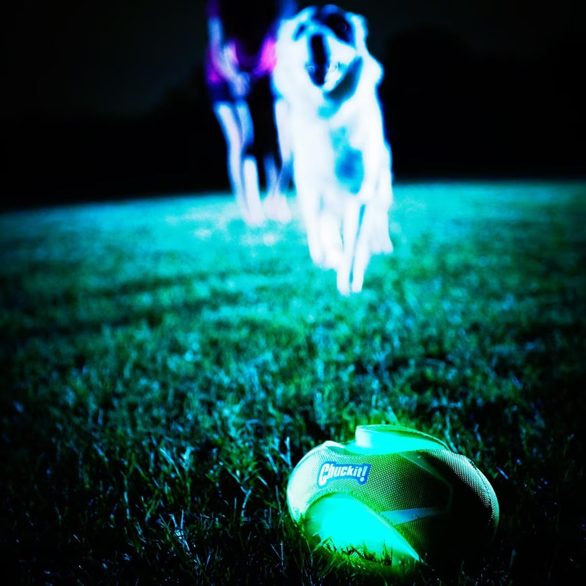 PM Chuckit Glow Fumble Fetch