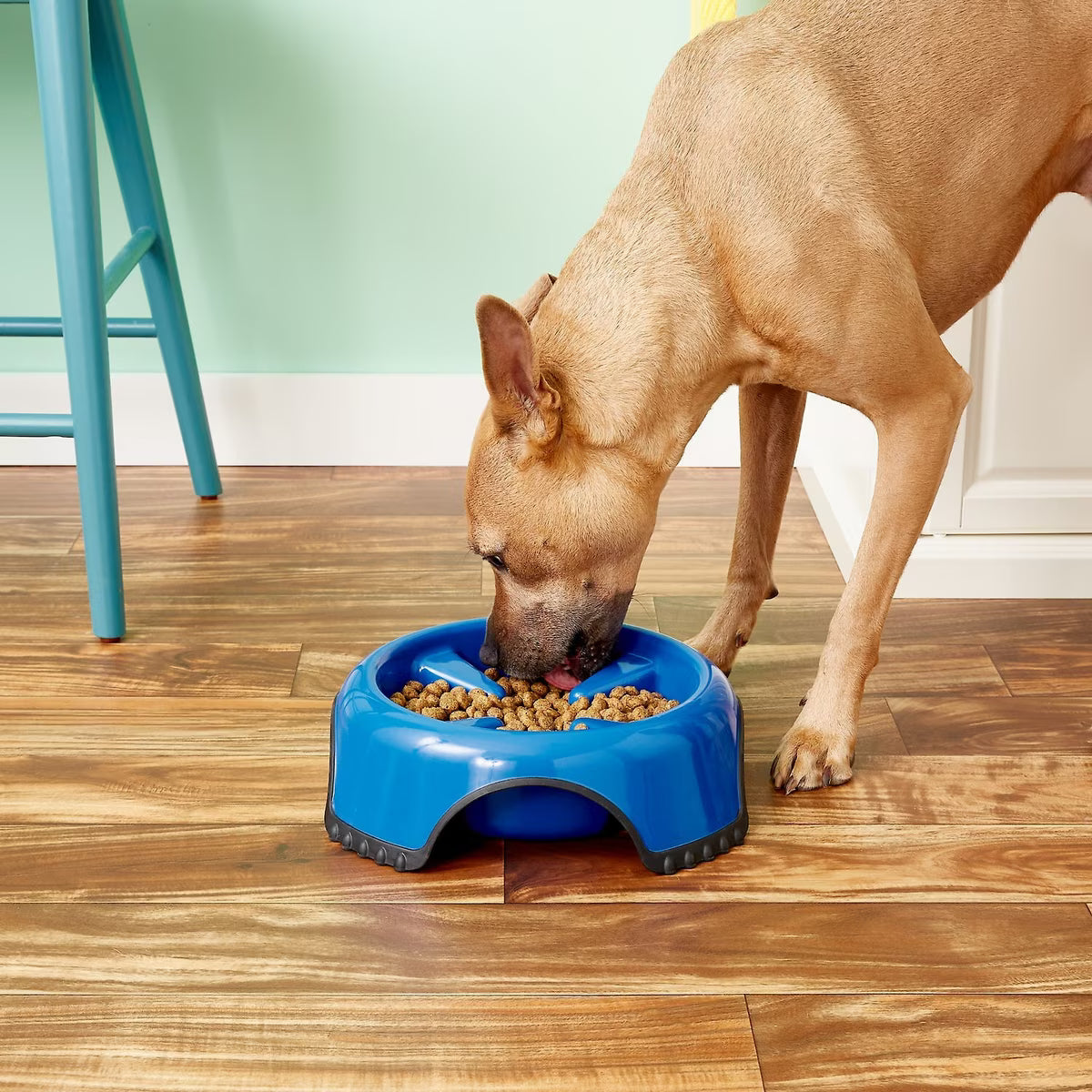 JW Pet Skid Stop Plastic Slow Feeder 6cups