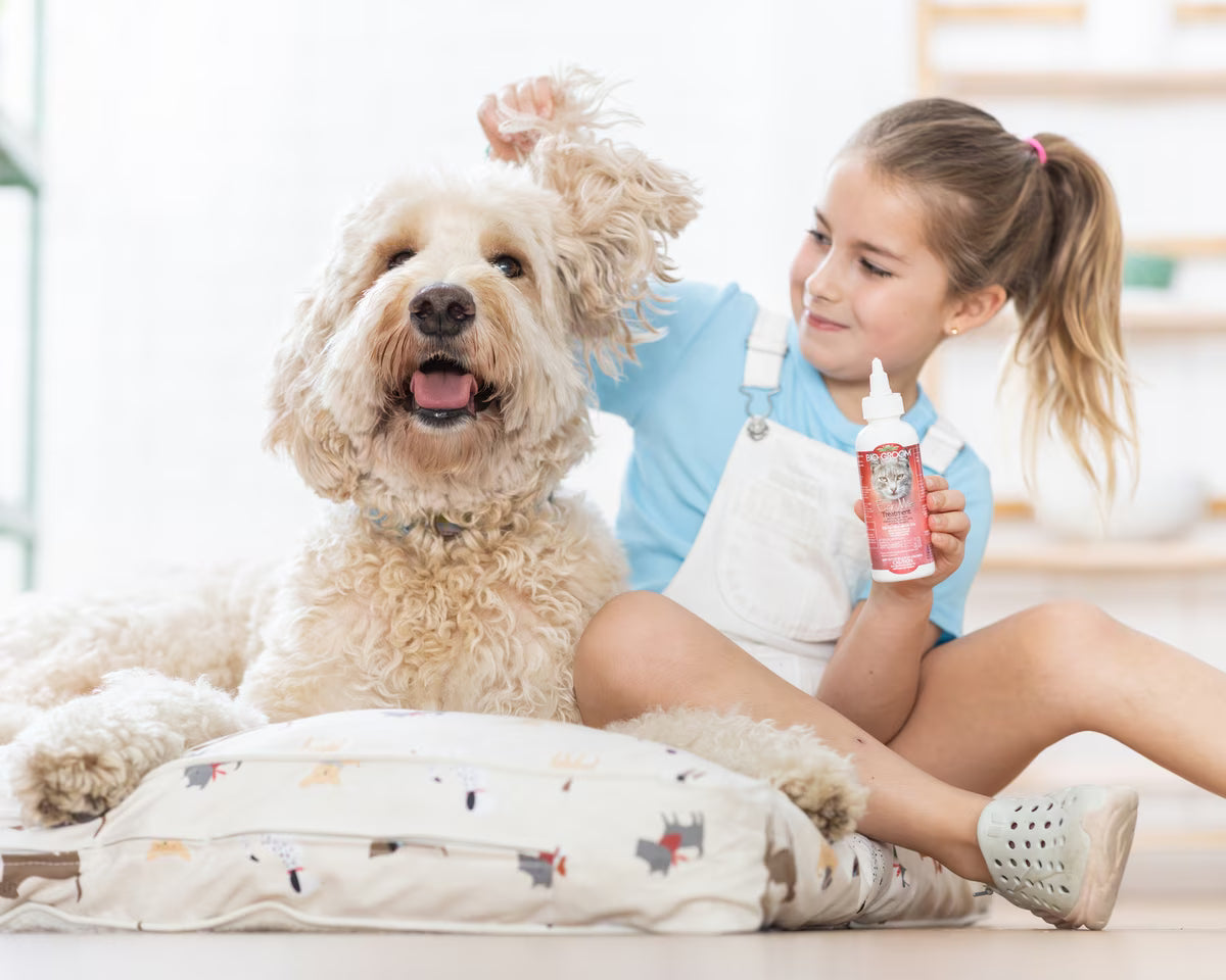 Bio-Groom Ear Mite Treatment for Dogs & Cats 4oz