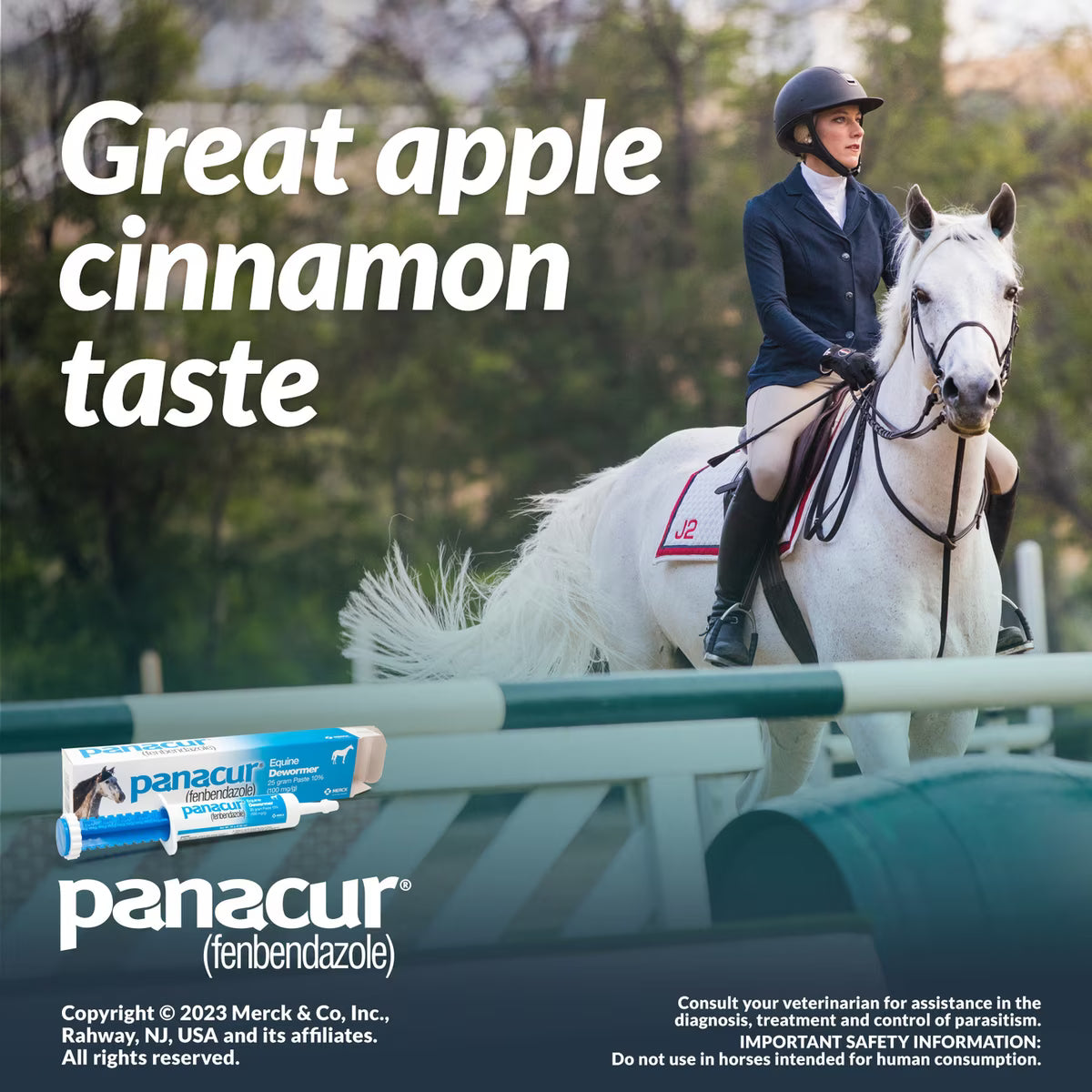 Panacur Fenbendazole 10% Dewormer Paste for Horses 25-gm