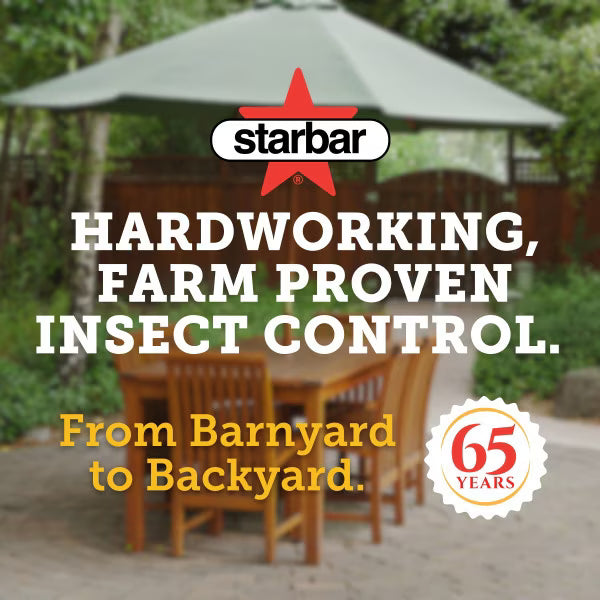 Starbar Lure Ribbon Insecticide Free Fly Trap 1ct