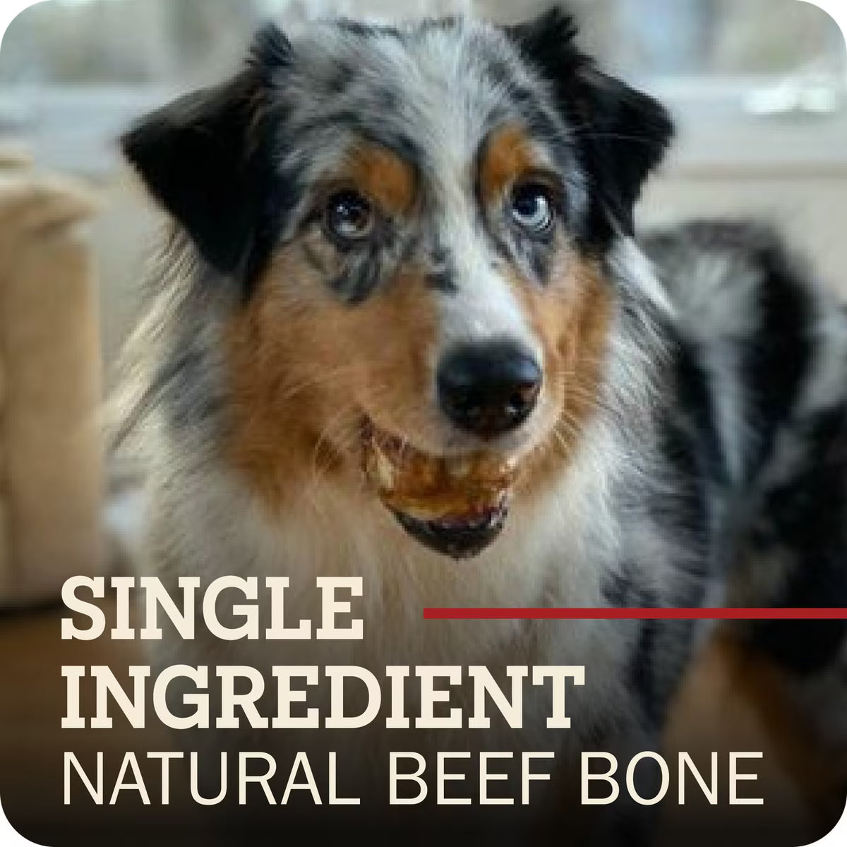 Redbarn Knee Caps Dog Chew 4pk