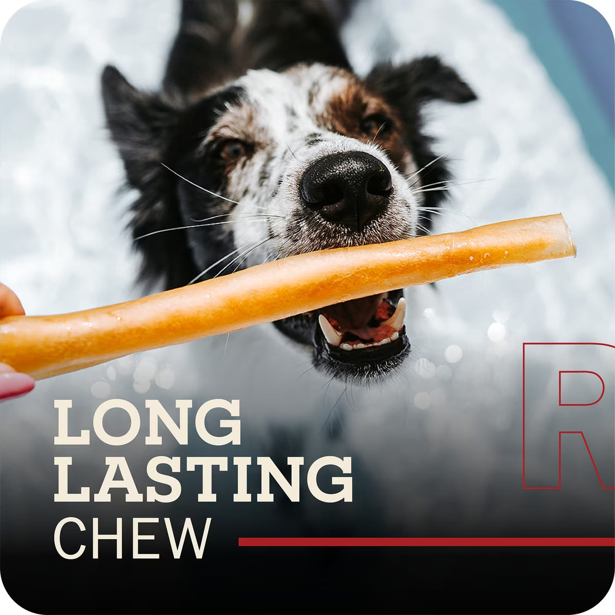 Redbarn Collagen Stick Dog Chew Large
