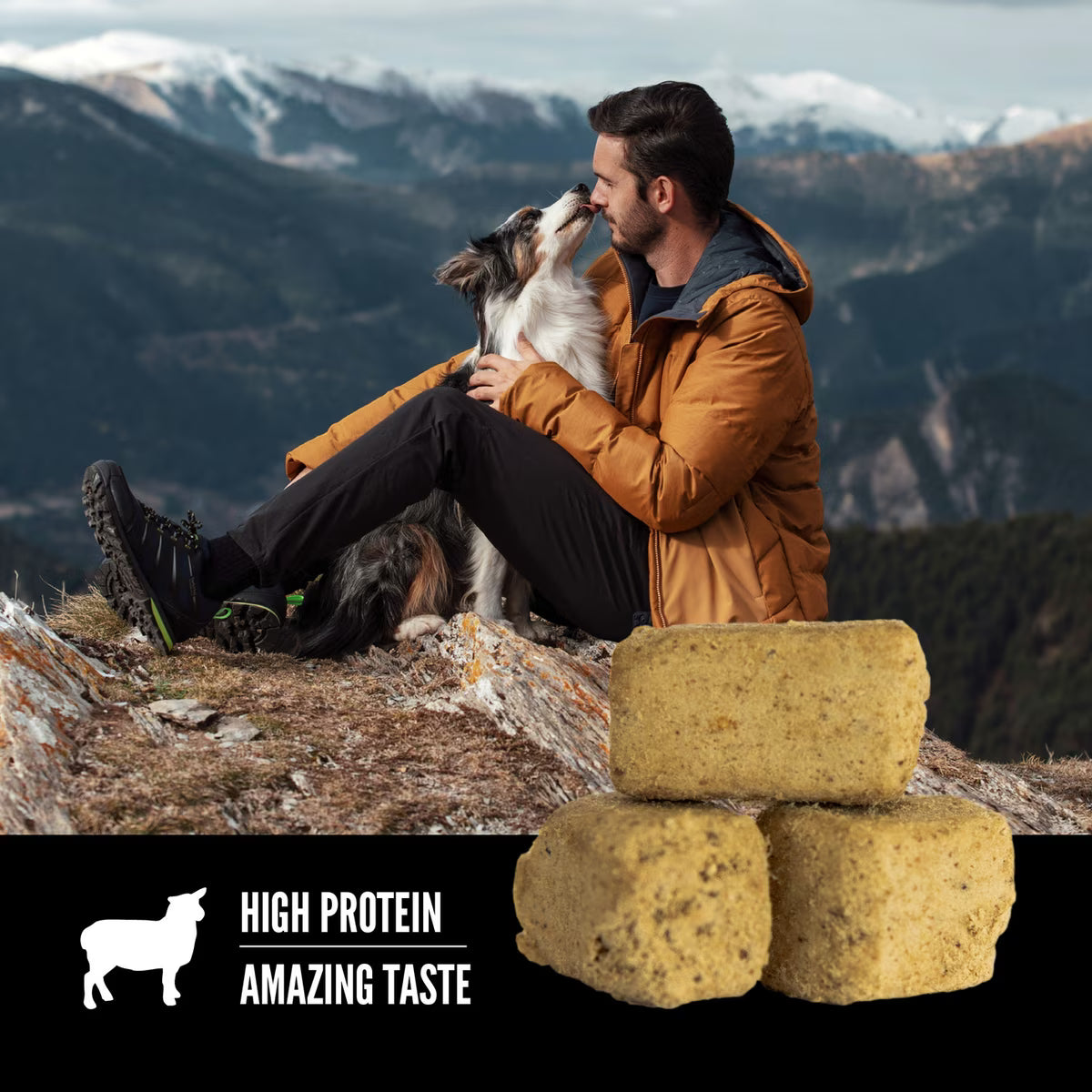 Orijen Grain-Free Lamb Freeze-Dried Treats 3.25oz