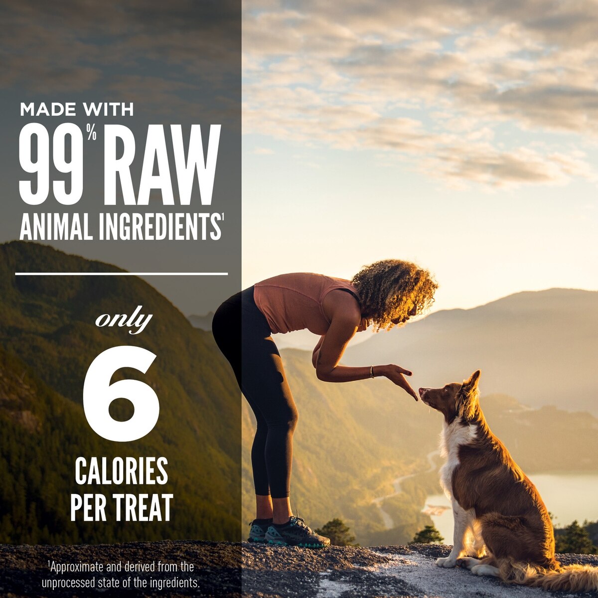 Orijen Grain-Free Regional Red Freeze-Dried Dog Treats 1.5oz