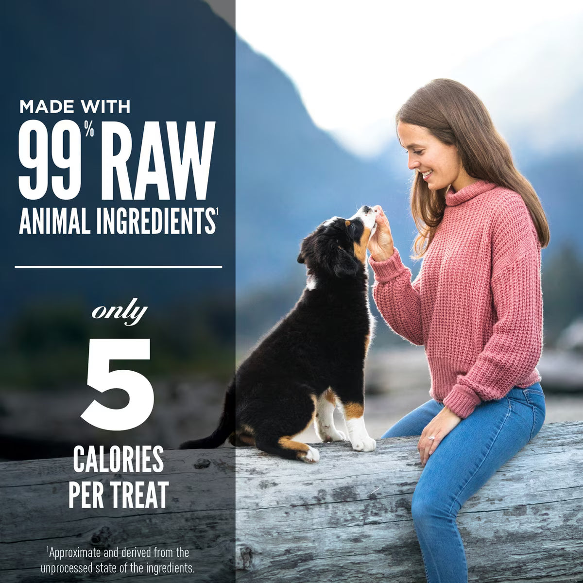 Orijen Grain-Free Original Freeze-Dried Dog Treats 1.5oz