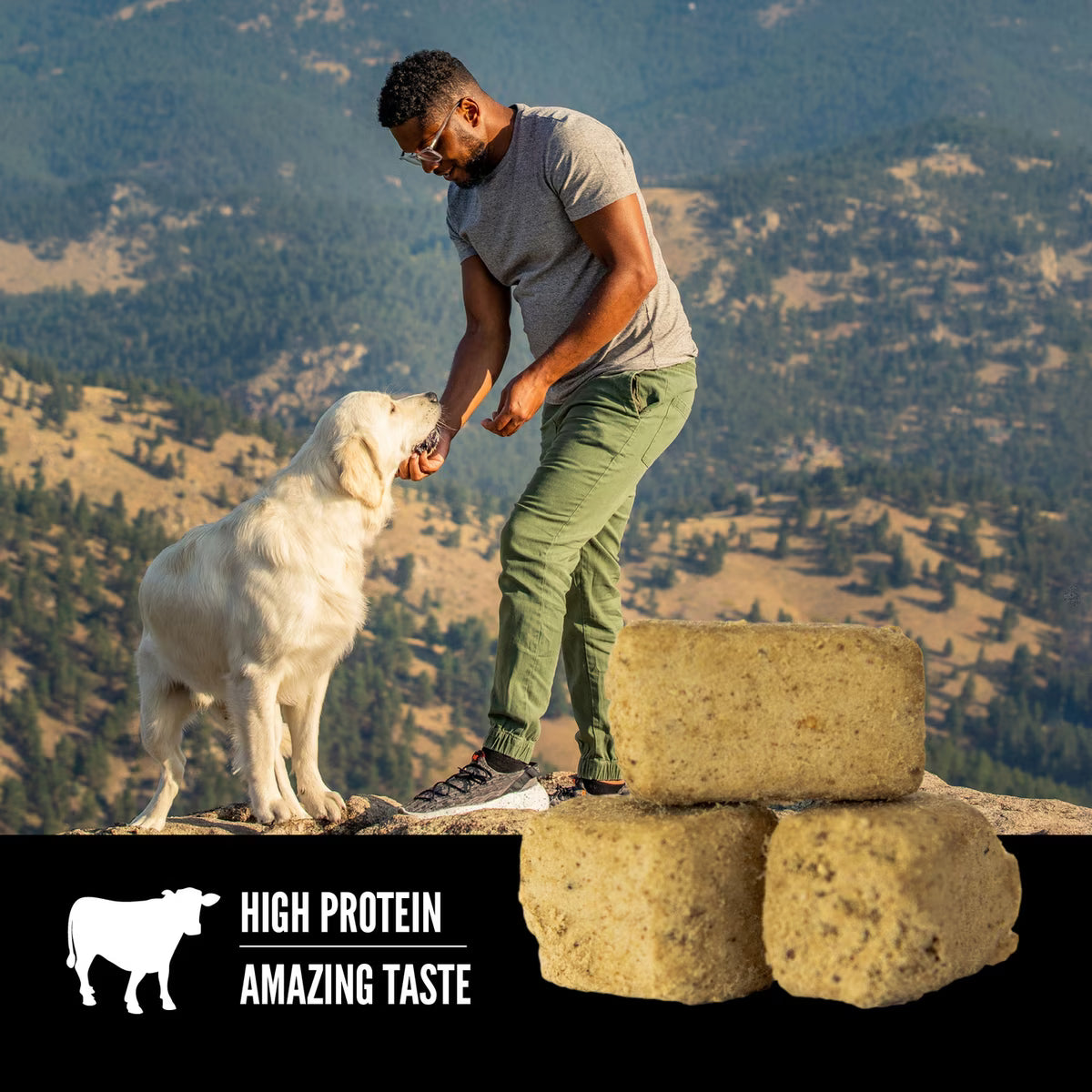Orijen Grain-Free Ranch-Raised Beef Freeze-Dried Dog Treats 1.5oz