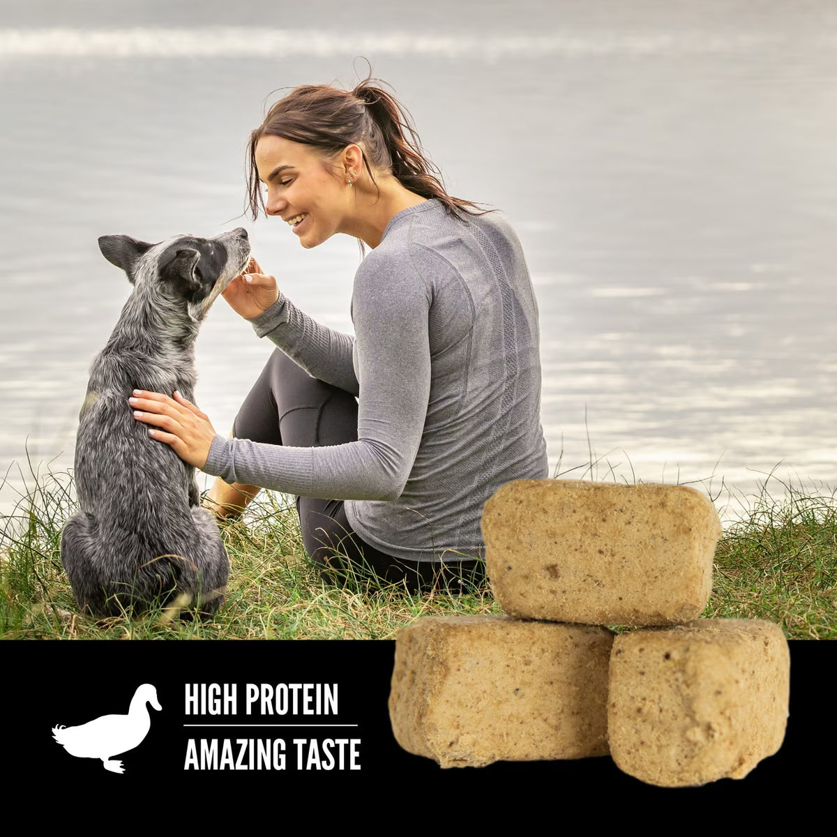Orijen Grain-Free Free-Run Duck Freeze-Dried Dog Treats 3.25oz