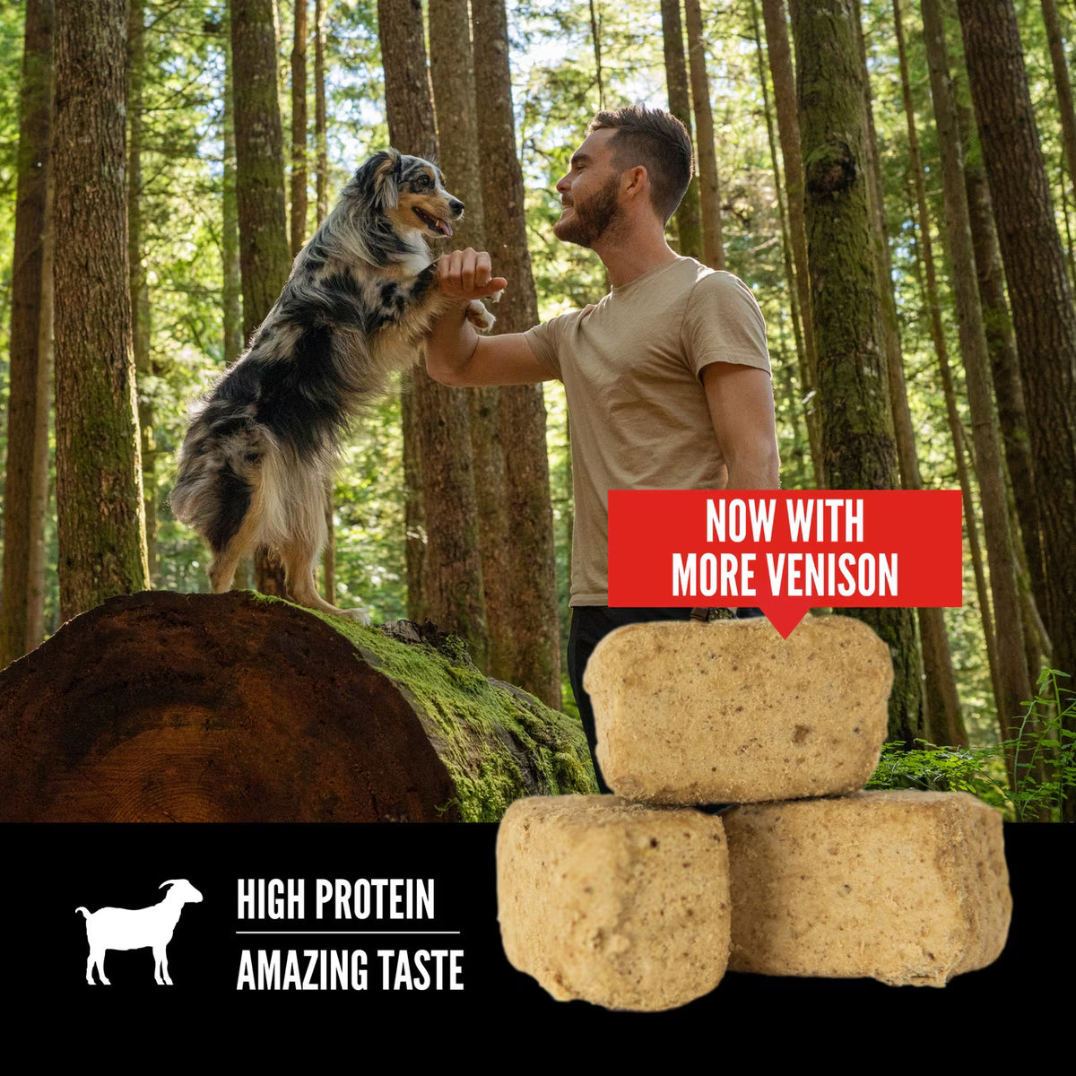 Orijen Grain-Free Tundra Freeze-Dried Dog Treats 3.25oz