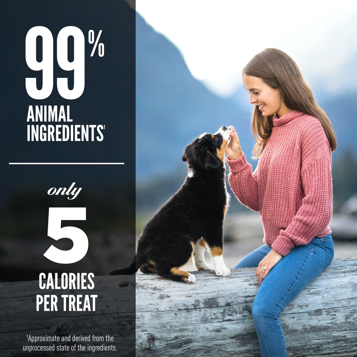 Orijen Grain-Free Ranch-Raised Beef Freeze-Dried Dog Treats 1.5oz