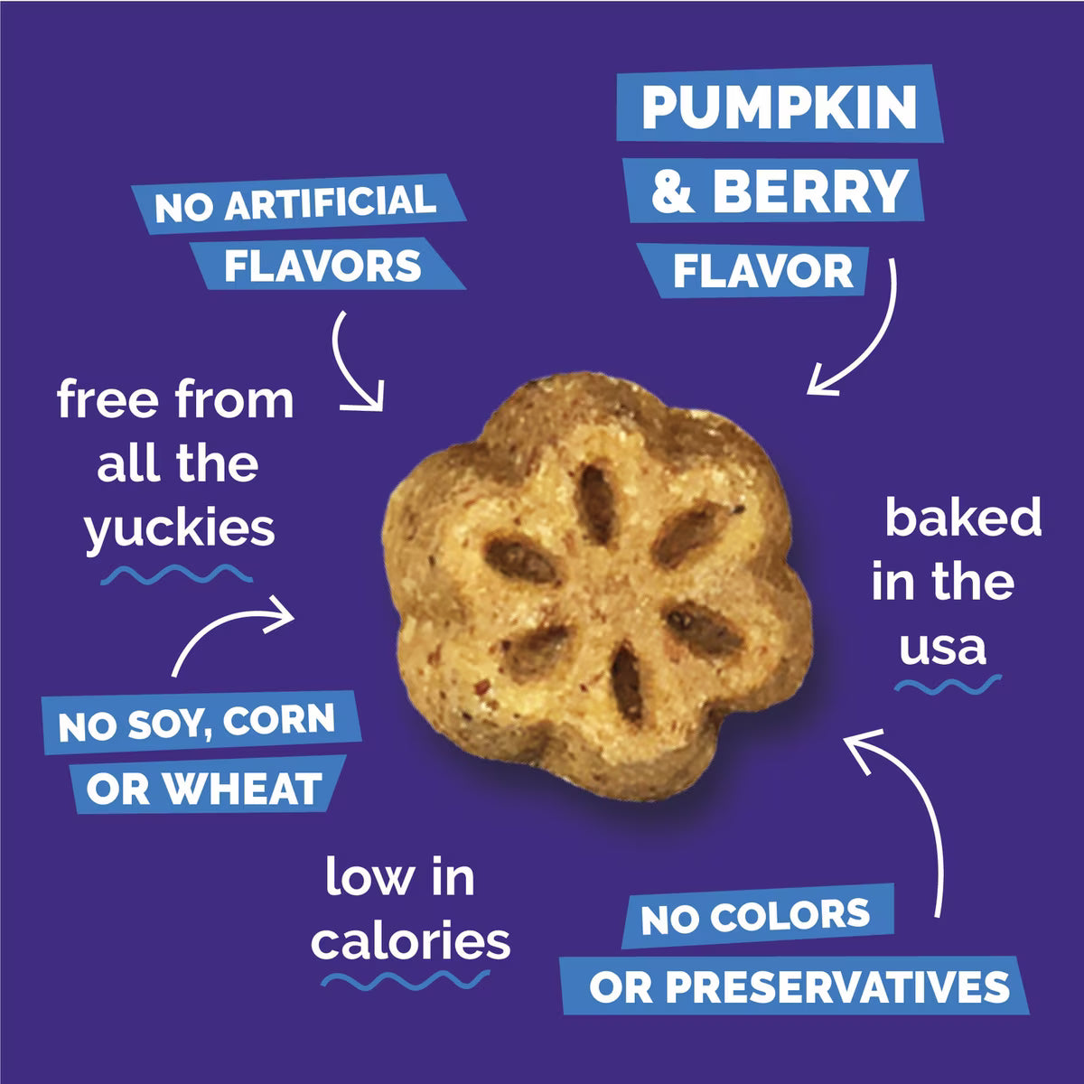 Fruitables Skinny Minis Pumpkin & Berry Flavored Soft Dog Treats 5oz