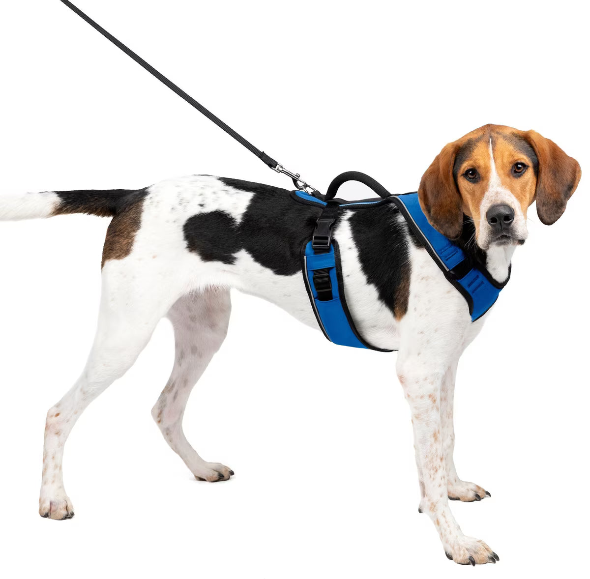 PetSafe EasySport Dog Harness Blue Large
