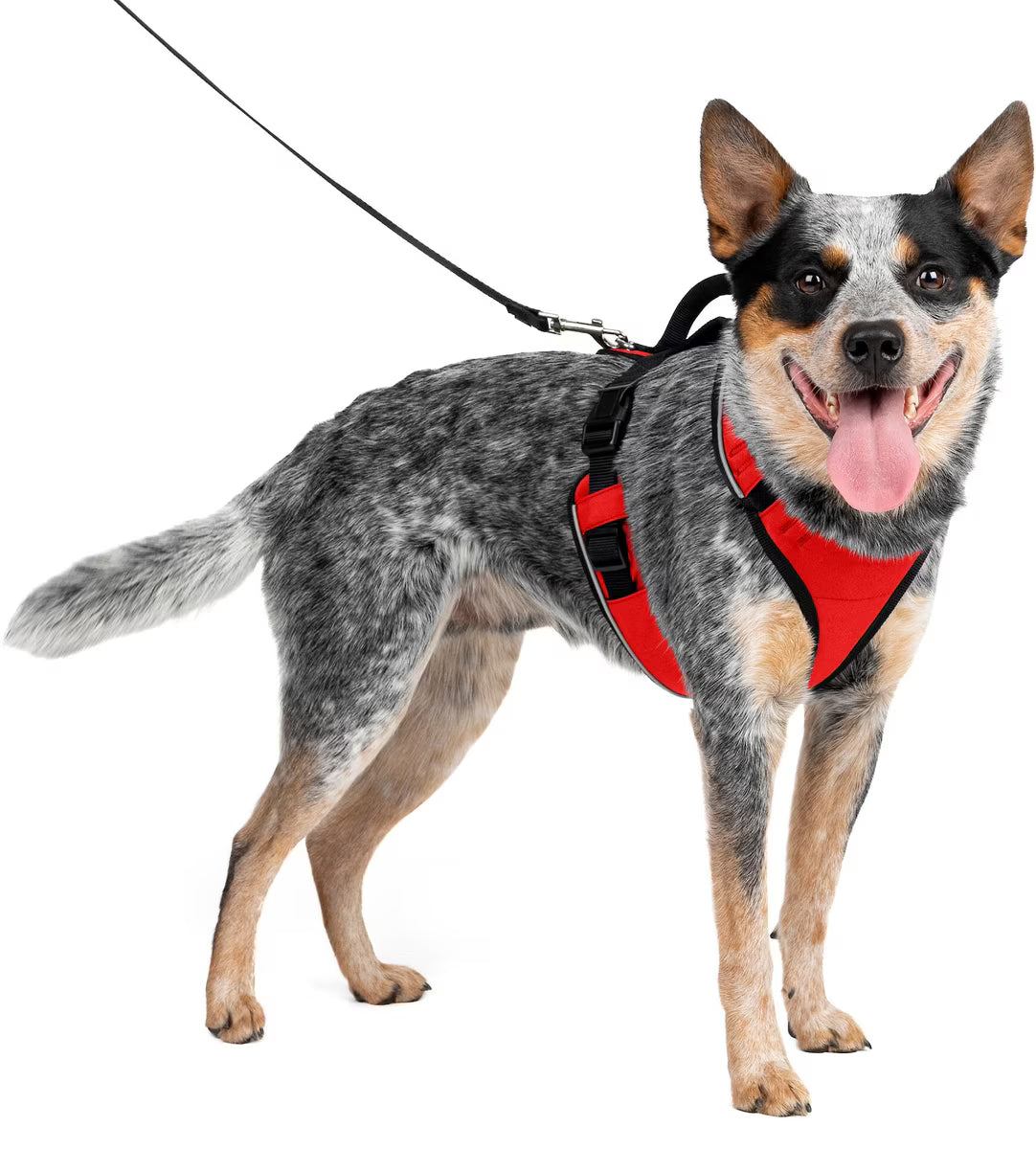 PetSafe EasySport Dog Harness Red Medium