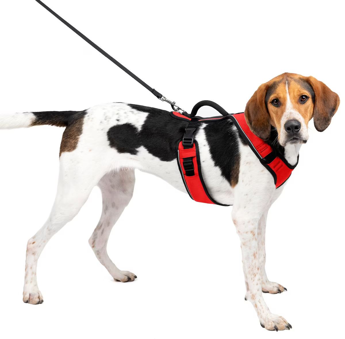 PetSafe EasySport Dog Harness Red Large