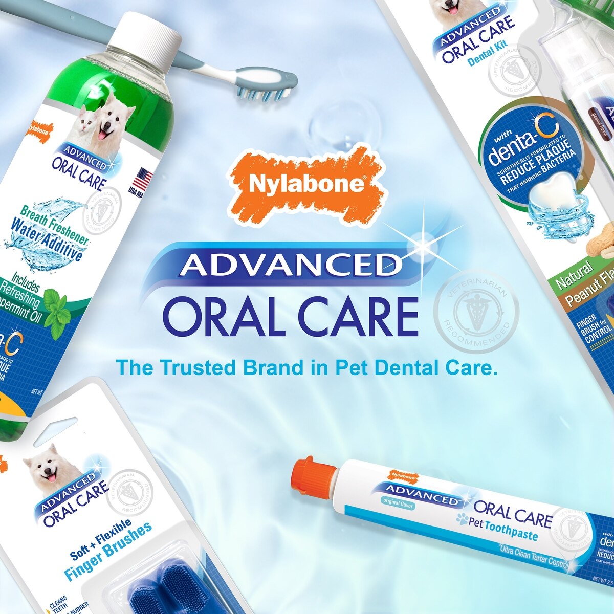 Nylabone Advanced Oral Care Water Additive Breath Freshener 16oz