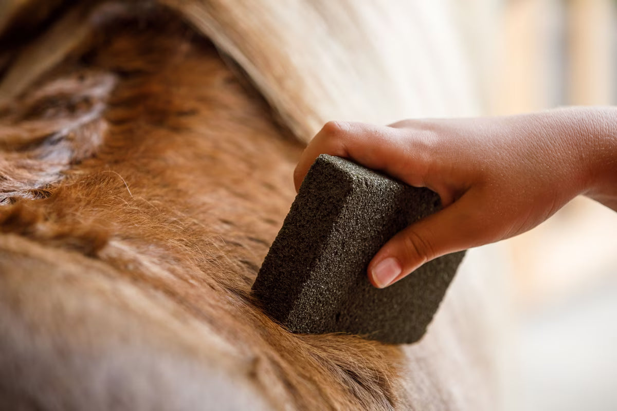 Farnam Slick'N Easy Horse Grooming Block