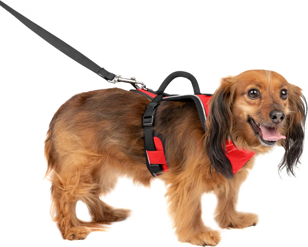 PetSafe EasySport Dog Harness Red XS