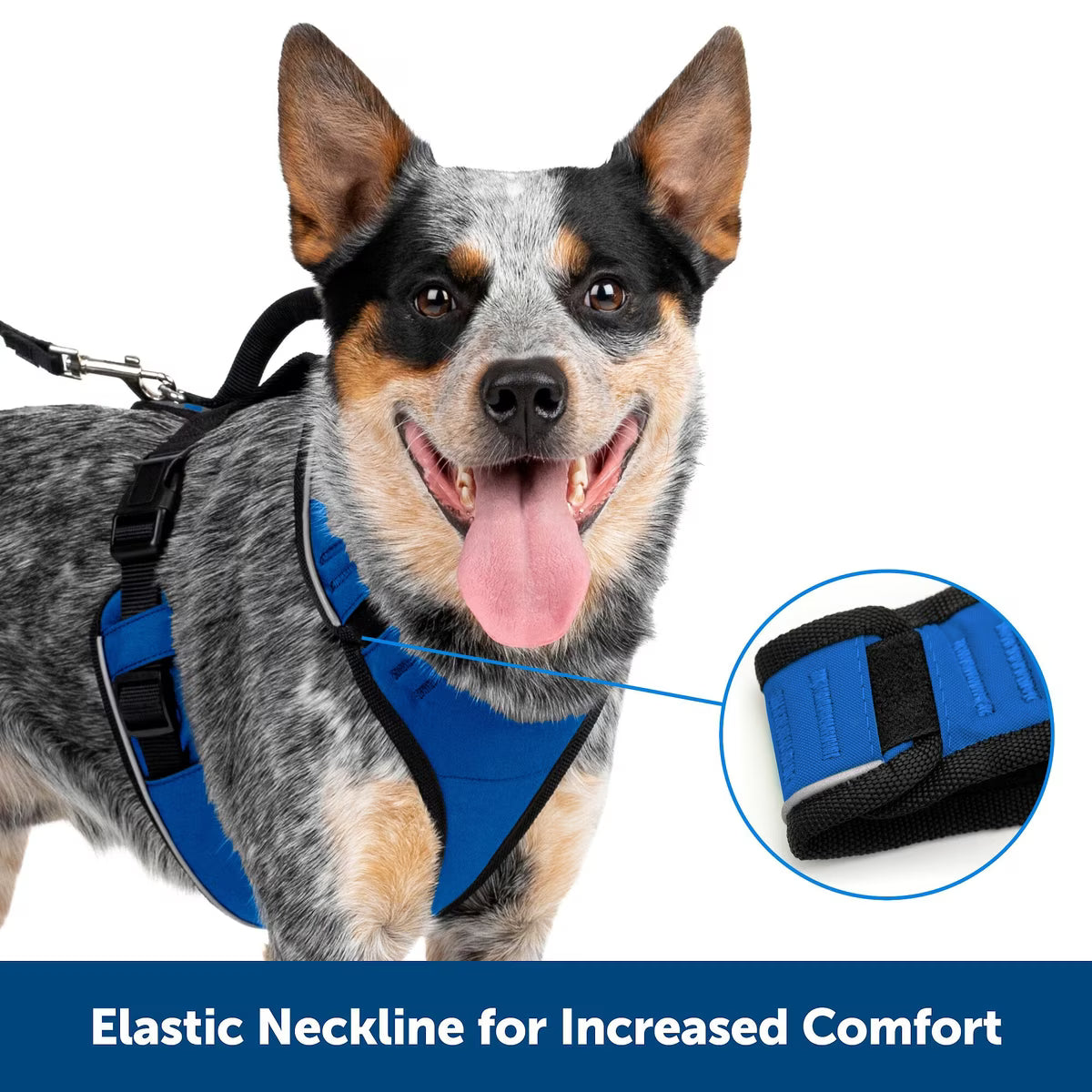 PetSafe EasySport Dog Harness Red XS